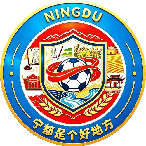 Logo Ningdu Team