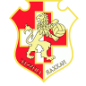 Logo Naxxar Lions