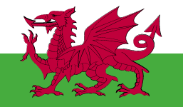 Logo Wales U19