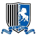 Logo Hapoel Ihud Bnei Jatt