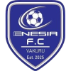 Logo Enesia FC