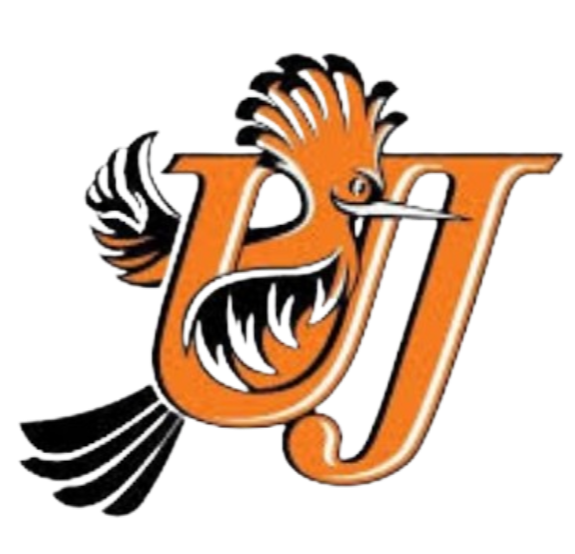 Logo University of Johannesburg FC