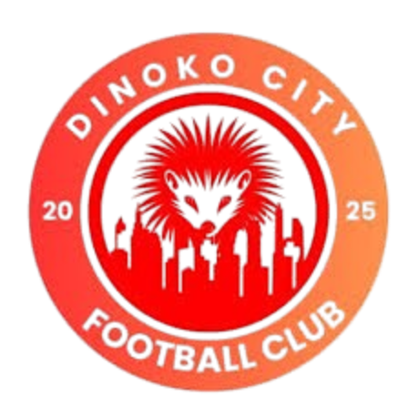Logo Dinoko City FC