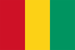 Logo Guinea